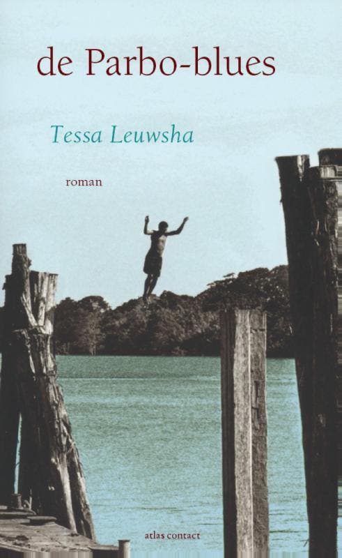 De Parbo-blues 9789025446949 Tessa Leuwsha, Boeken, Romans, Zo goed als nieuw, Verzenden