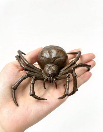 Decoratief ornament - Grote spinversiering