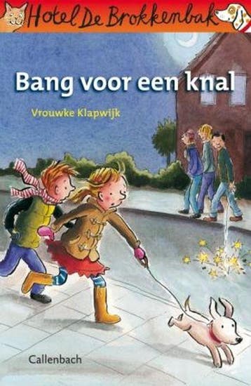 Bang voor een knal / Hotel De Brokkenbak / 3 9789026615009, Verzenden, Gelezen, Vrouwke Klapwijk