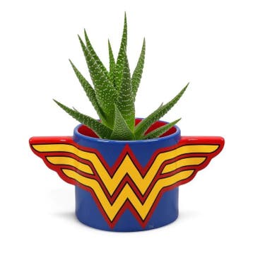 DC Comic Wonderman Bloempot, Ophalen of Verzenden