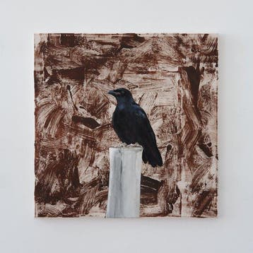 Matthieu van Riel - Kraai