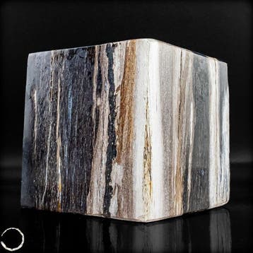 Versteend hout kubus – natuurkunst uit miljoenen jaren, Verzamelen, Mineralen en Fossielen