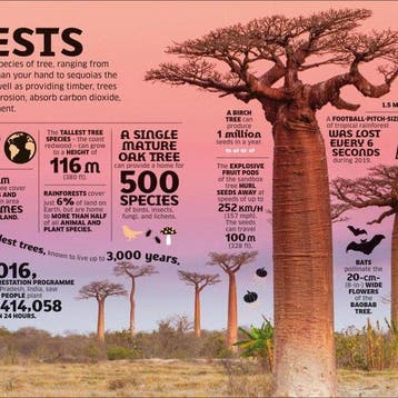 Our World in Numbers 9780241471180 Dk, Verzenden, Gelezen, Dk