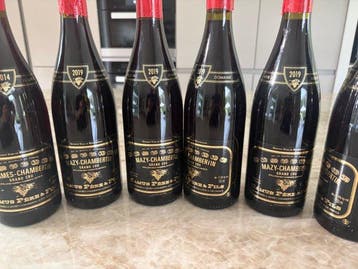2019 Camus père et fils - Mazis-Chambertin Grand Cru - 6