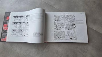 Winsor McCay; Ulrich Merkl - The complete Dream of the, Nieuw