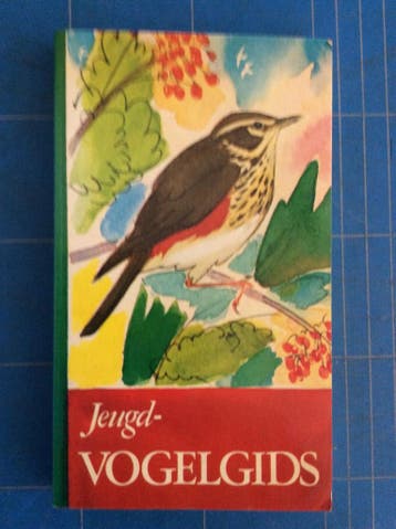 Jeugd-vogelgids 9789021601687 Loohuis, Verzenden, Loohuis