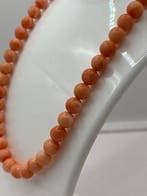 Corail - 18 carats - Or jaune - Collier - Corail et fermeté, Collections, Minéraux & Fossiles