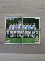 1988 Panini Euro 88 Team England/ 2 Écussons brillants/, Nieuw