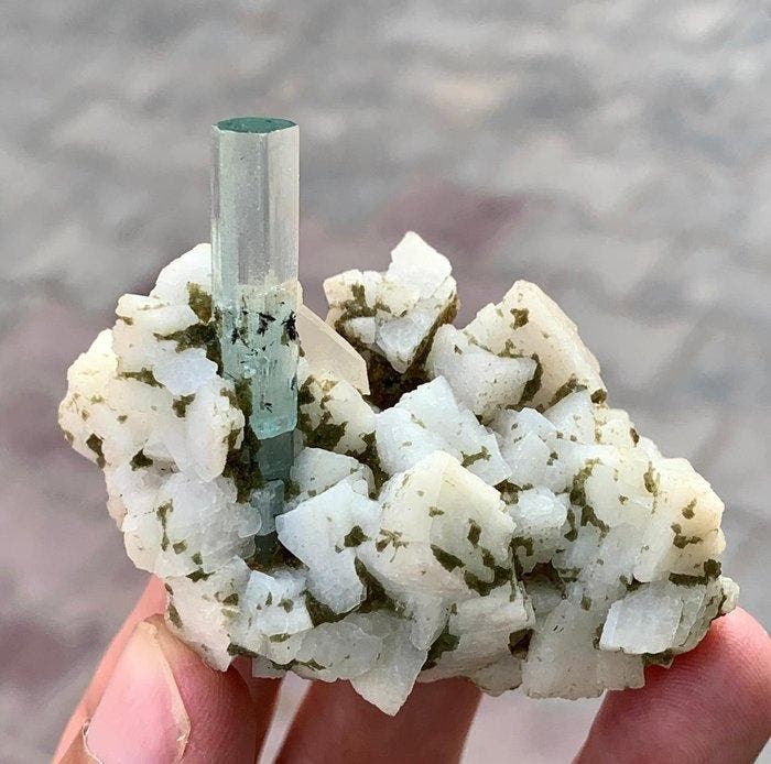 Aquamarine Spécimen - Hauteur : 5.2 cm - Largeur : 5.6 cm-, Collections, Minéraux & Fossiles