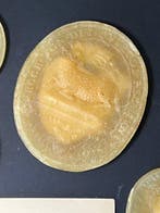 Reliekhouder (8) - Was - 1800-1850 - Set van 8 Agnus Dei uit