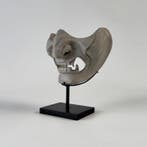 Mitch Richmond (1983) - Shogun - No Reserve, Antiek en Kunst