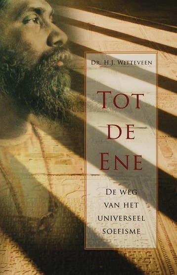 Tot de Ene 9789020284577 H.J. Witteveen, Verzenden, H.J. Witteveen