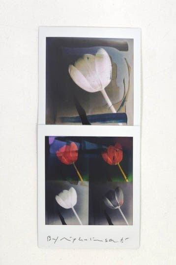 Maurizio Galimberti (1956–) - BiFlowers - 11588