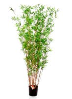 Kunstplant Bamboo Oriental 100 cm, Huis en Inrichting, Kamerplanten, Verzenden
