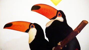 Paul Funken - Nationale ZOO Antwerpen Wereldvermaard -, Antiek en Kunst