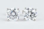 Sans prix de réserve - Boucles doreilles - 14 carats Or, Bijoux, Sacs & Beauté, Boucles d'oreilles