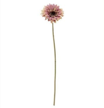 Gerbera 53 cm OudRoze Zijden bloemen / st, Huis en Inrichting, Nieuw