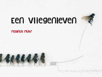 Een vliegenleven 9789045312040 Magnus Muhr, Verzenden, Magnus Muhr