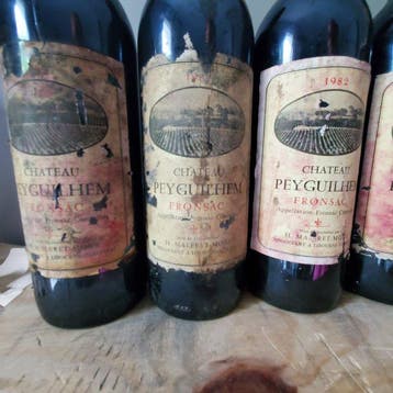 1982 x 4 Chateau Peyguilhem 1986 Chateau Duc des Martins &, Verzamelen, Nieuw