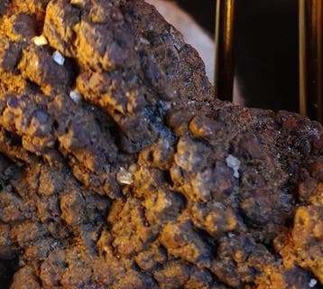 202 g fossiel uitwerpsel (coproliet) van een dinosauriër of