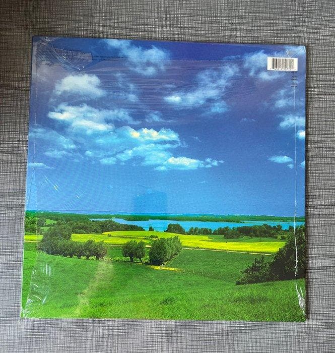 David Bowie - Earthling Rare Limited Edition Original, Cd's en Dvd's, Vinyl Singles