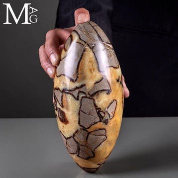 Shiva Lingam van Septaria: Interne alchemie voor