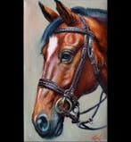 BarBeni (1981) - Noble Horse Portrait