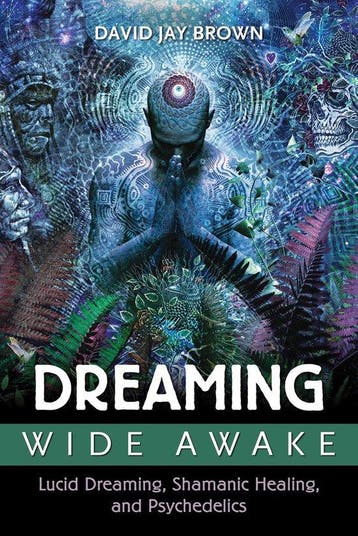 Dreaming Wide Awake 9781620554890 David Brown J, Verzenden, David Brown J