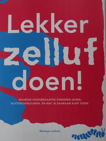 Lekker zelluf doen! 9789082586008 Monique Jonkers, Livres, Grossesse & Éducation, Verzenden, Monique Jonkers