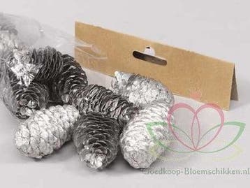 Dennenappel Ray Cones Zilver 100 gram kleinverpakking, Hobby en Vrije tijd, Nieuw