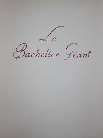Jules Vallès ; Bernard Naudin - Le Bachelier géant ou les