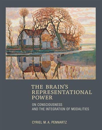 The Brains Representational Power 9780262029315, Verzenden, Gelezen, Cyriel M.A. Pennartz