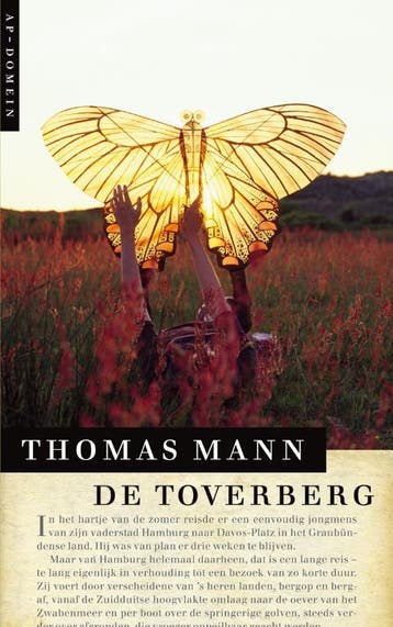 De Toverberg / AP-domein 9789029571852 Thomas Mann, Boeken, Verzenden, Zo goed als nieuw, Thomas Mann