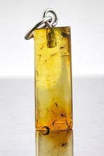 Barnsteen - Natural Baltic Sea AMBER – Dual Inclusion –, Verzamelen