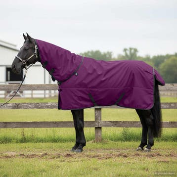 vidaXL Paardendeken Volledig paars 165 cm Polyester, Dieren en Toebehoren, Verzenden, Nieuw