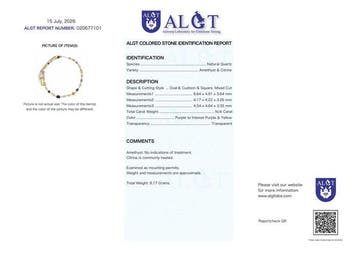 Zonder minimumprijs - Halsketting Zilver - Gemengde