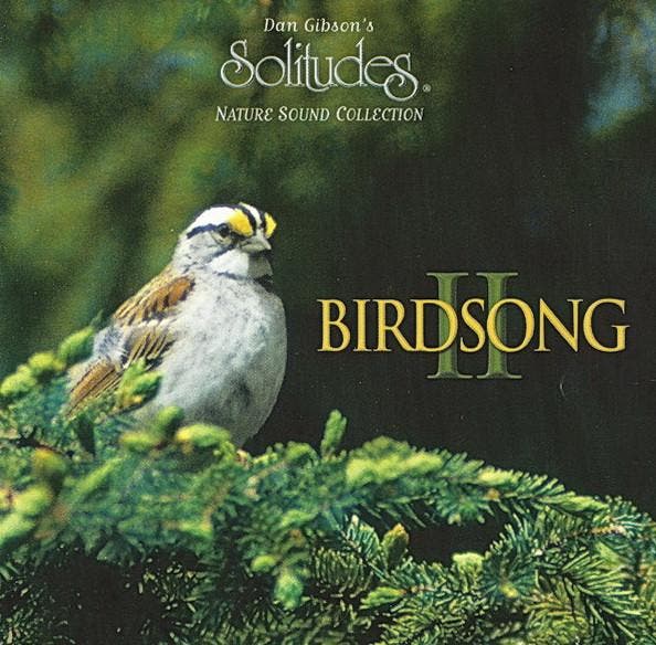 Dan Gibson - Birdsong II, CD & DVD, CD | Pop, Envoi