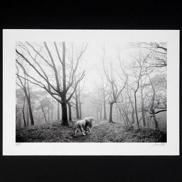 Frank Machalowski - tierwald#166