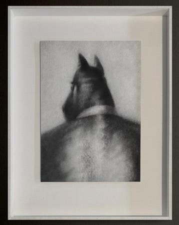 Picha (Jean-Paul Walravens) (1942) - Cheval de dos