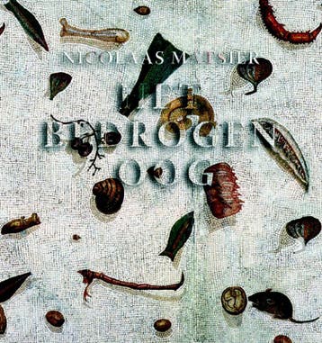 Het bedrogen oog 9789061698715 Nicolaas Matsier, Verzenden, Nicolaas Matsier