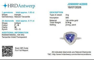 Ring - 14 karaat Witgoud - 1.53ct. tw. Tanzaniet - Diamant -, Nieuw