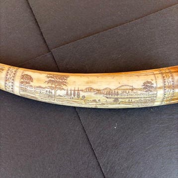 Scrimshaw-Morse citaten Tand - Scrimshaw - 46 cm - 7 cm - 6, Nieuw