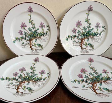 Villeroy & Boch - Ontbijtbord (4) - Botanica - Porselein - 4