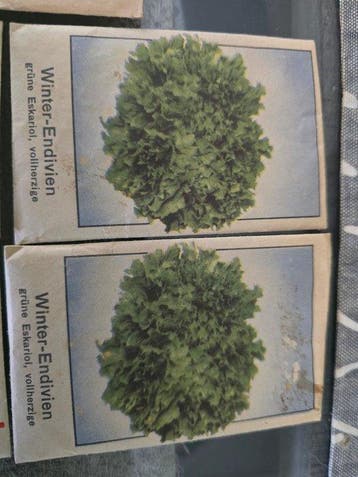 Prière islamique - Hauteur (arbre) : 20 cm - Profondeur