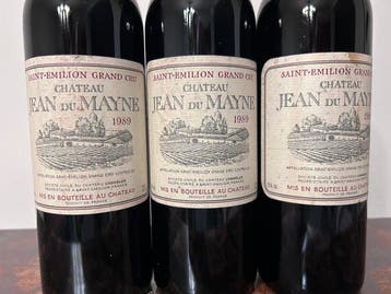 1989 Chateau Jean du Mayne - Saint-Émilion Grand Cru - 3