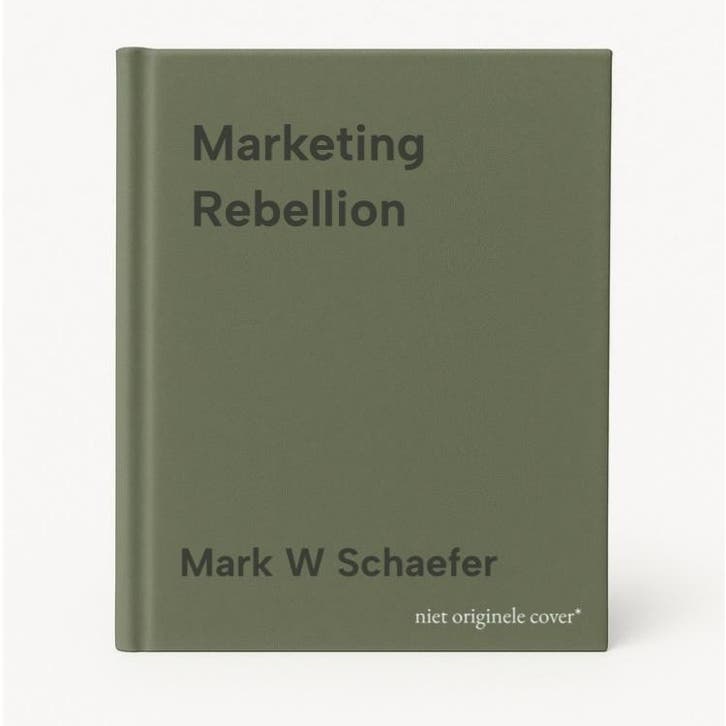 Marketing Rebellion 9781733553308 Mark W Schaefer, Livres, Langue | Anglais, Envoi