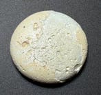 Époque Viking Verre absolument intact, jeton de jeu blanc «