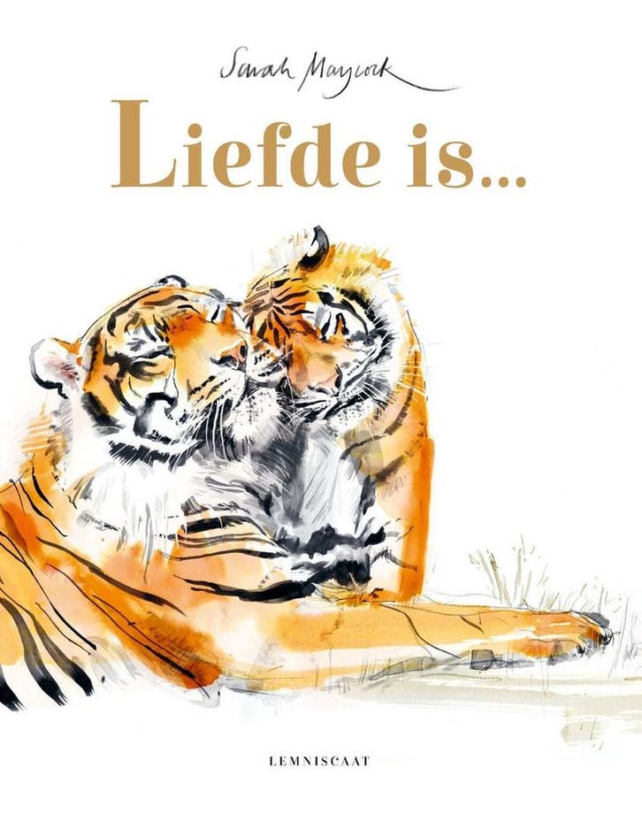 Liefde is … 9789047714804 Lily Murray, Livres, Livres pour enfants | 4 ans et plus, Envoi