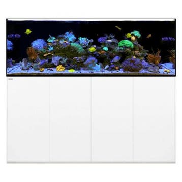 WaterBox REEF 220.6 Wit, Verzenden