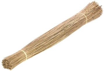 Restio giganteus natural vleireet koffieriet mikado ca. 80, Nieuw